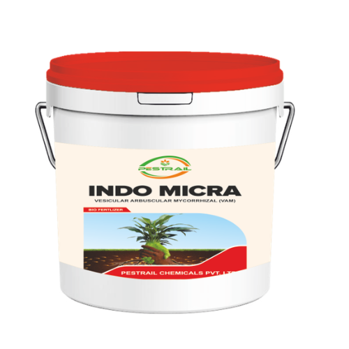 Indo Micra